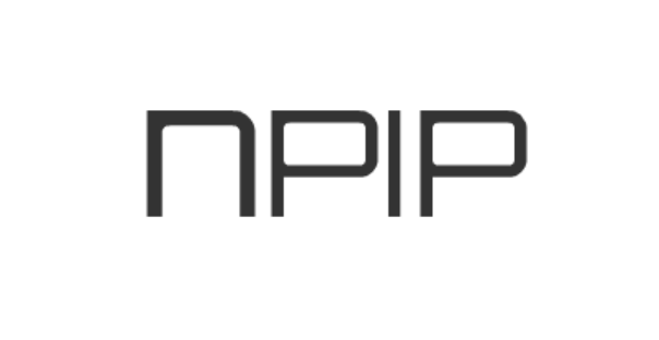 neojyoji12's tweet photo. 告知
個人サイト「NPIP Scribbles MX」を公開しました！
 https://t.co/5NDfvaYiuV
なんと、Flashで制作しています。令和に。

クリックする度にワクワクしたあの頃の感覚を思い出し、Webの自由さや実験性を再解釈しました。

現在PCのみ対応で、スマホ未対応です。

ぜひアクセスしてご覧ください！！ https://t.co/a8xebCLmeC