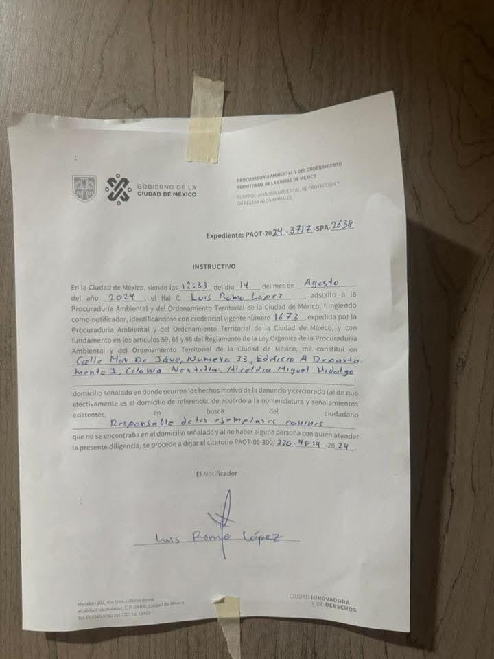 Fundación Toby tweet media