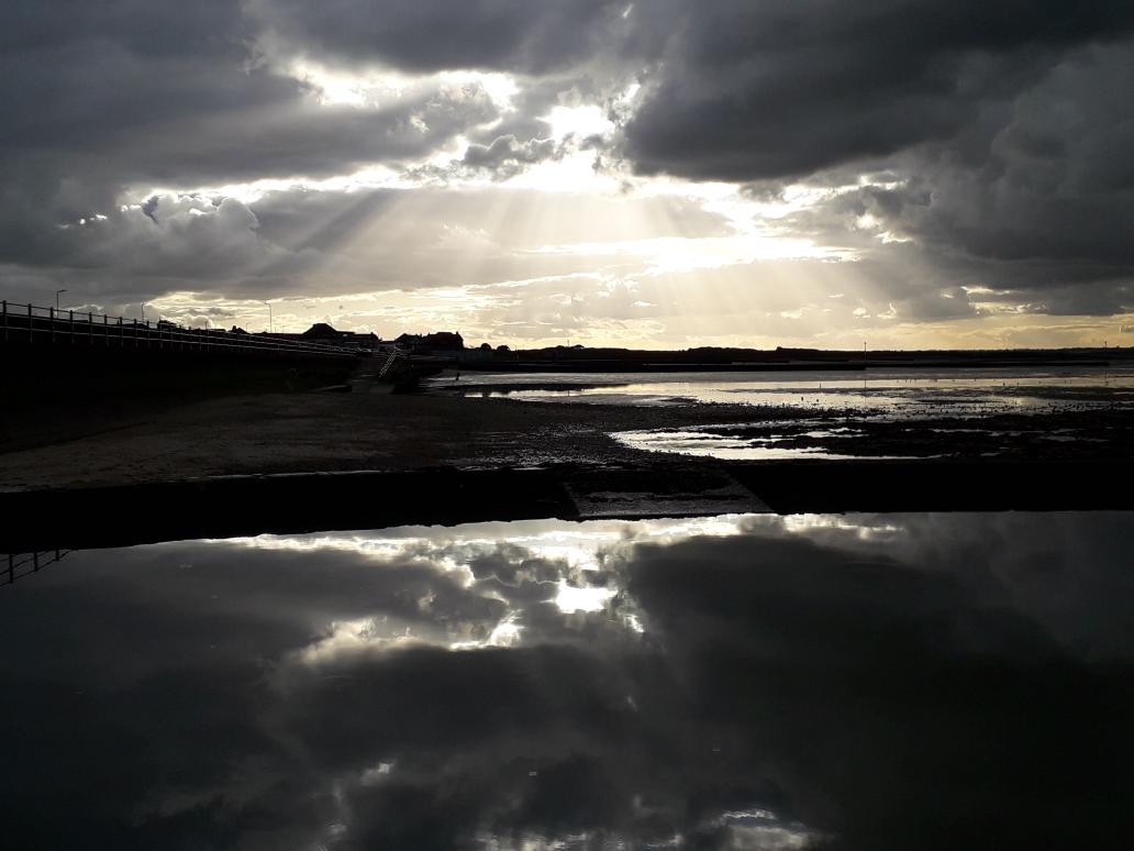 John Edwards tweet media