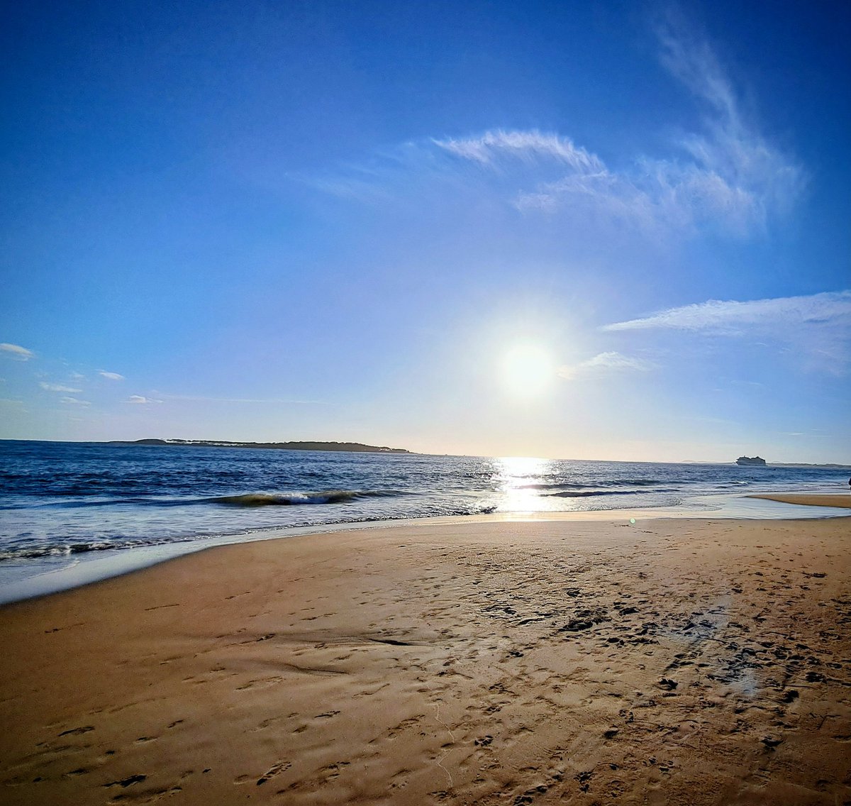 princesa eterna tweet media