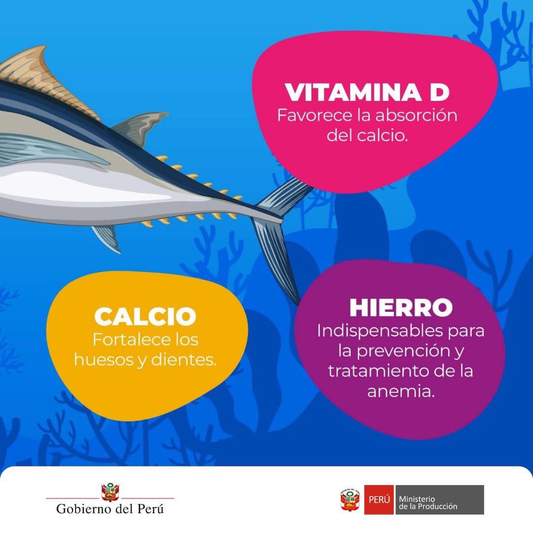 🐟 Come sano, come pescado. Fuente de proteínas y omega 3 que fortalecen tu salud. 👉 Conoce sus valores nutricionales.