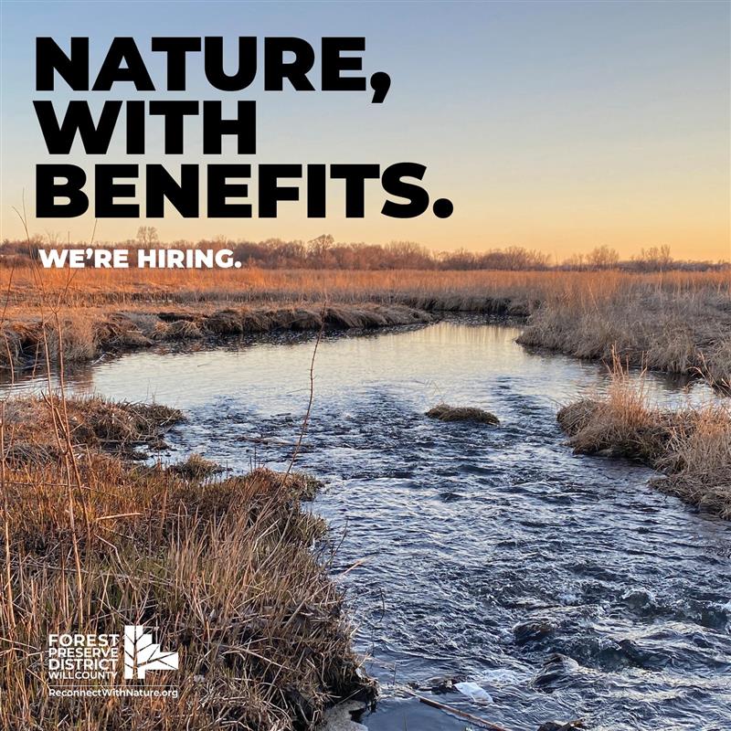 WillCoForests's tweet image. Get the details &amp;gt;&amp;gt;&amp;gt; bit.ly/3OMJtl0.

#WillCoForests #NowHiring #JoinOurTeam