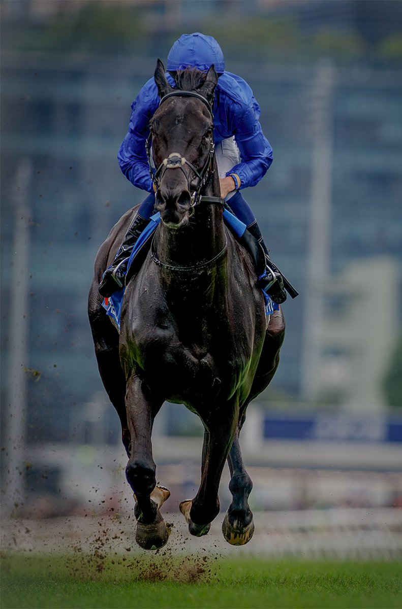 A_Evers's tweet photo. Always happy to see an old veteran like Reble's Romance win nicely!! https://t.co/01oc5q84uf