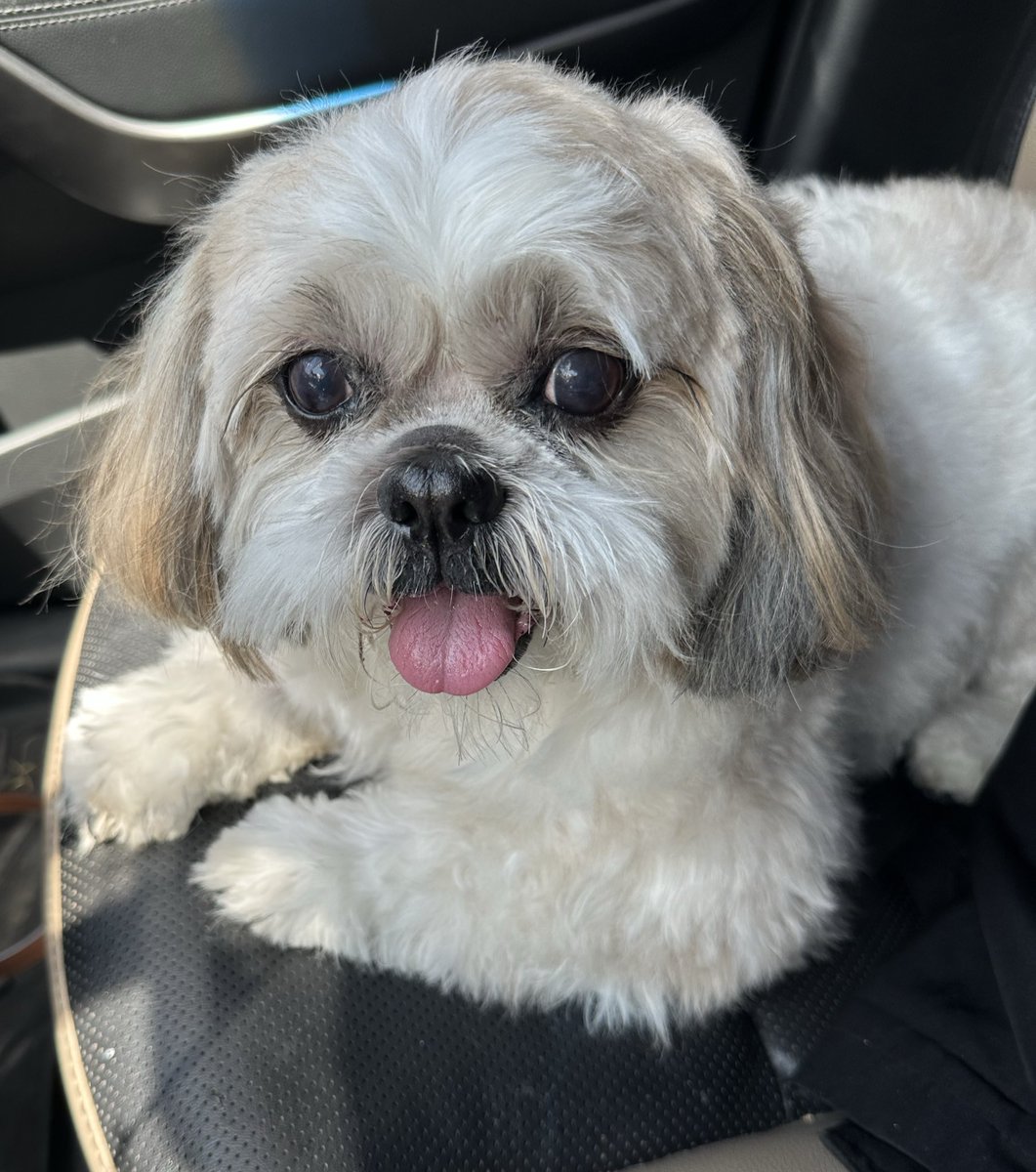 Lo mas lindo que van a ver hoy