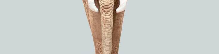 سنيوري ‏ tweet media