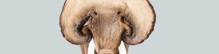 سنيوري ‏ tweet media