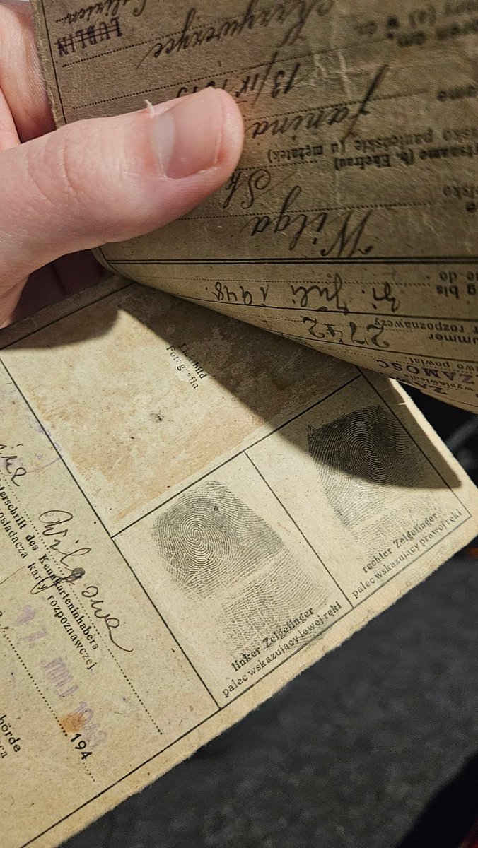 Mikołaj "Niklaus" Wilga tweet media