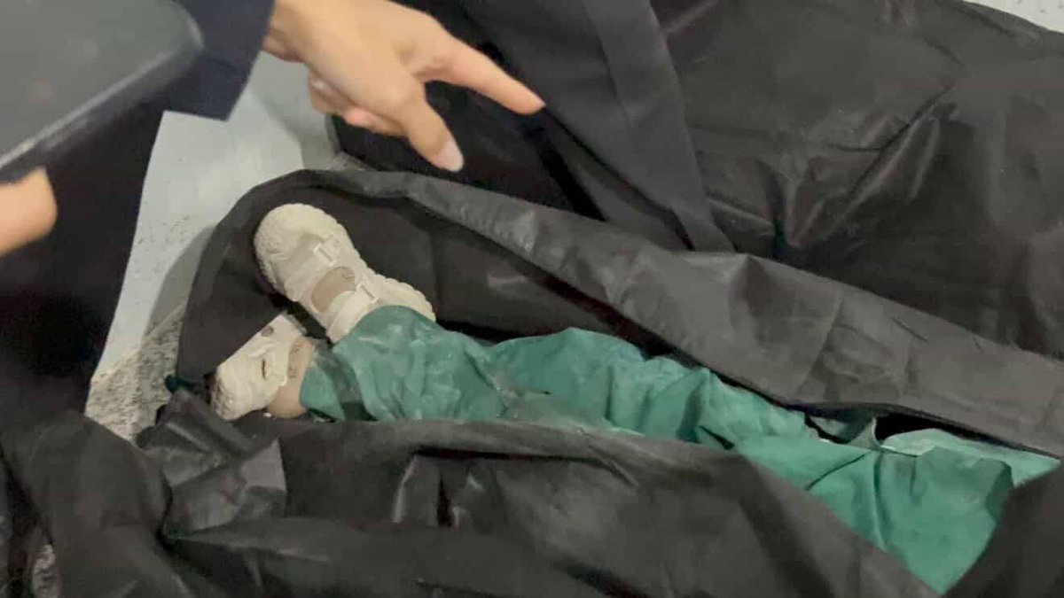این تصویر رو به اون سلطنت طلب حروم زاده نشون بدین و بگین بابا ترامپ به بهانه آزادي، این طفل معصوم رو سلاخی کرد.