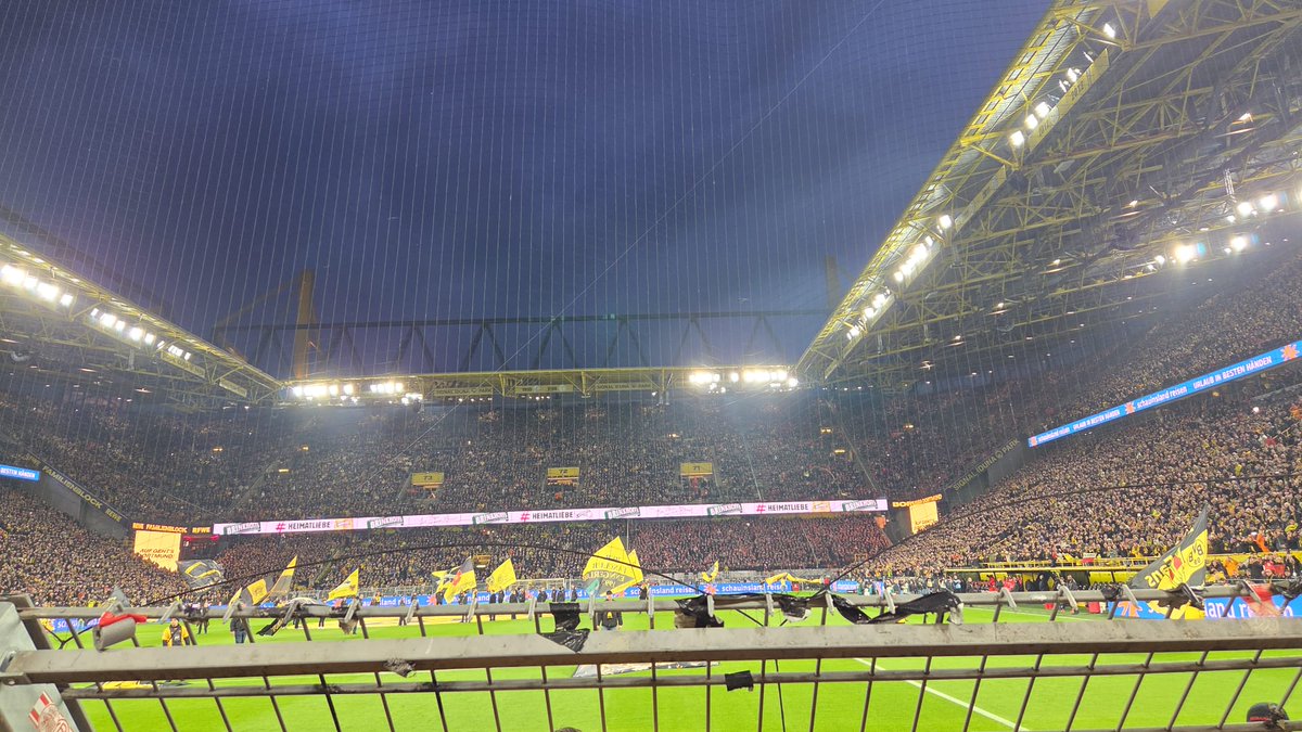 Boro BVB 2012 tweet media