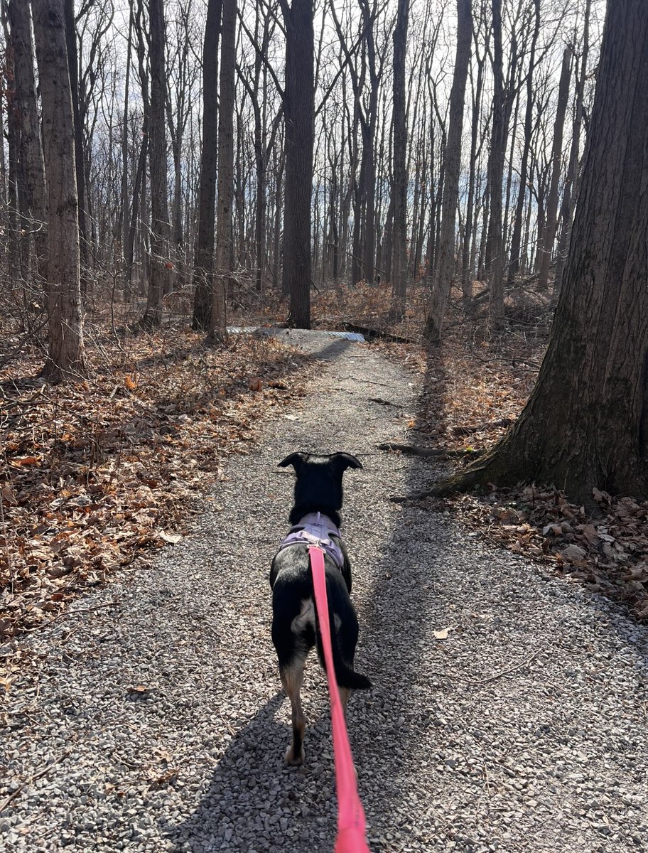 fishersparks tweet media