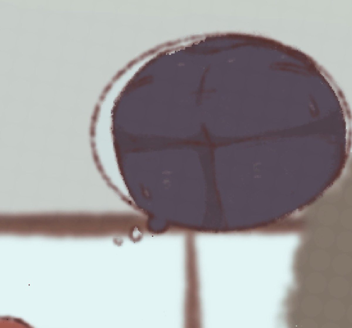 Rynopop 🔞 tweet media