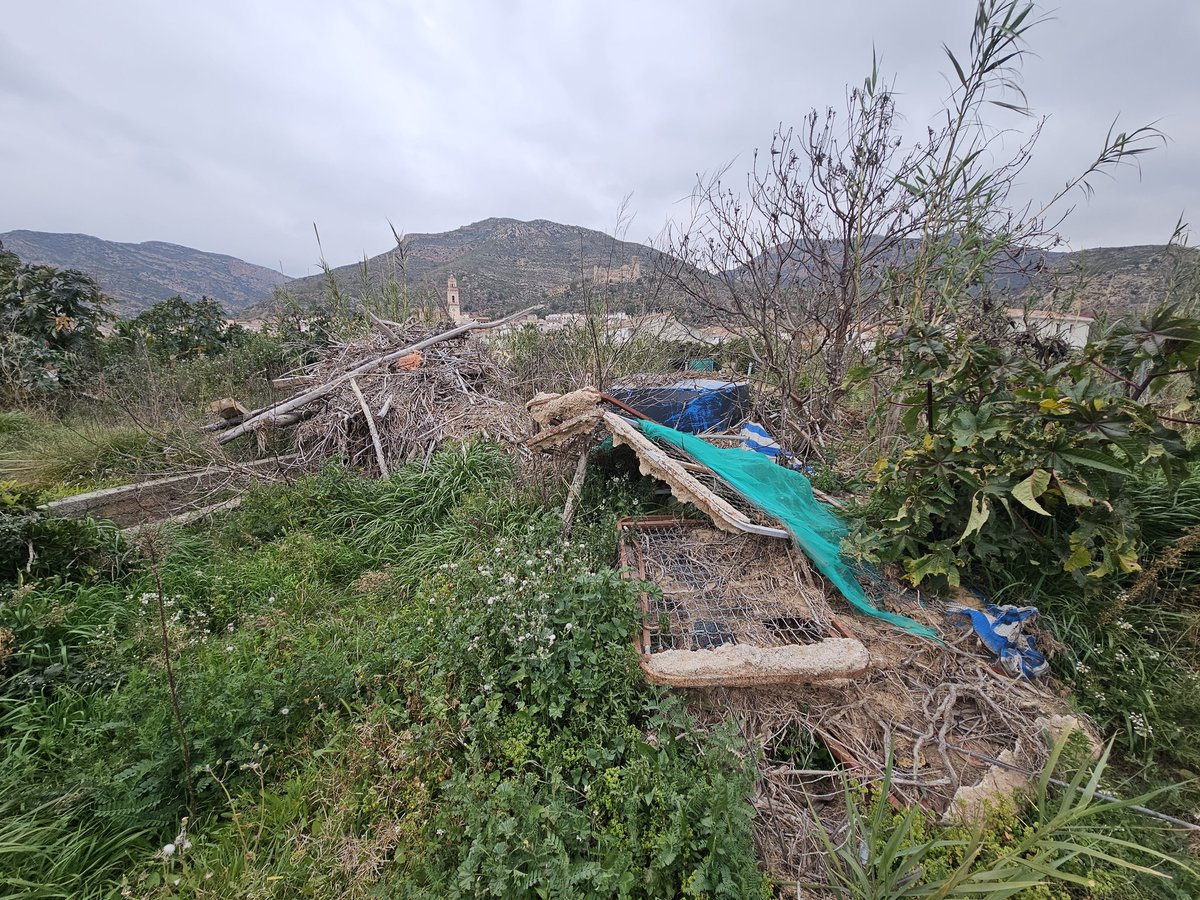 MeteoAvisosComunitatValenciana tweet media