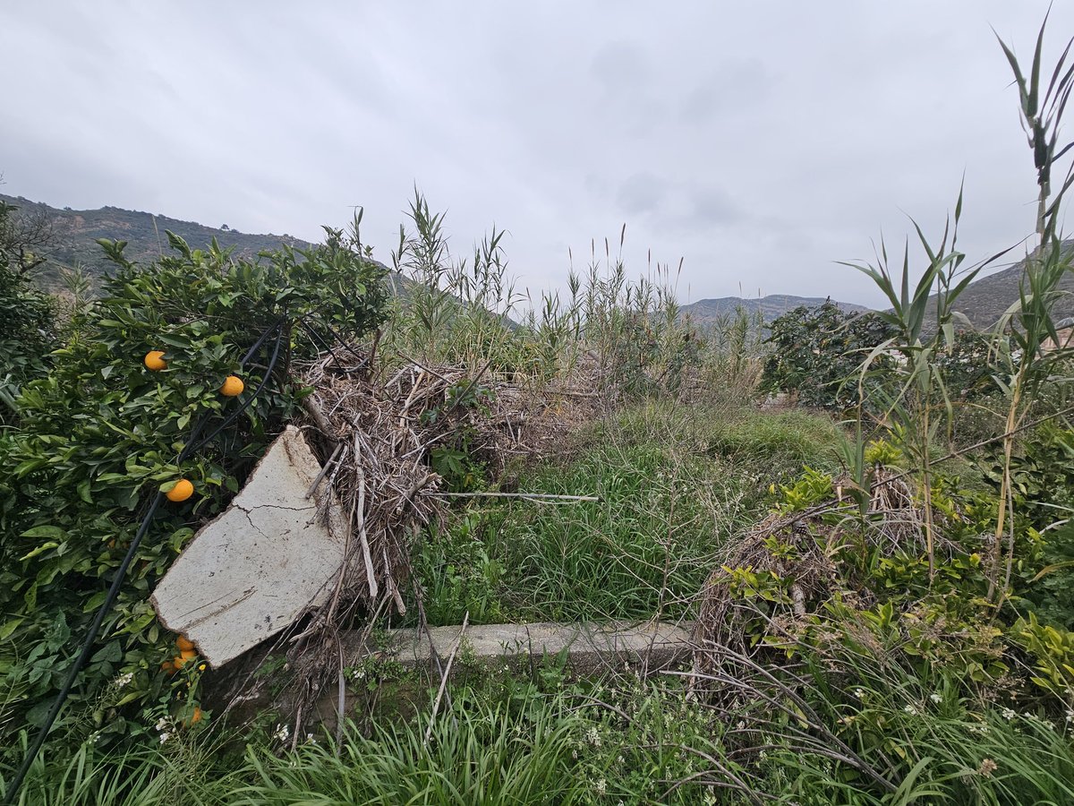 MeteoAvisosComunitatValenciana tweet media