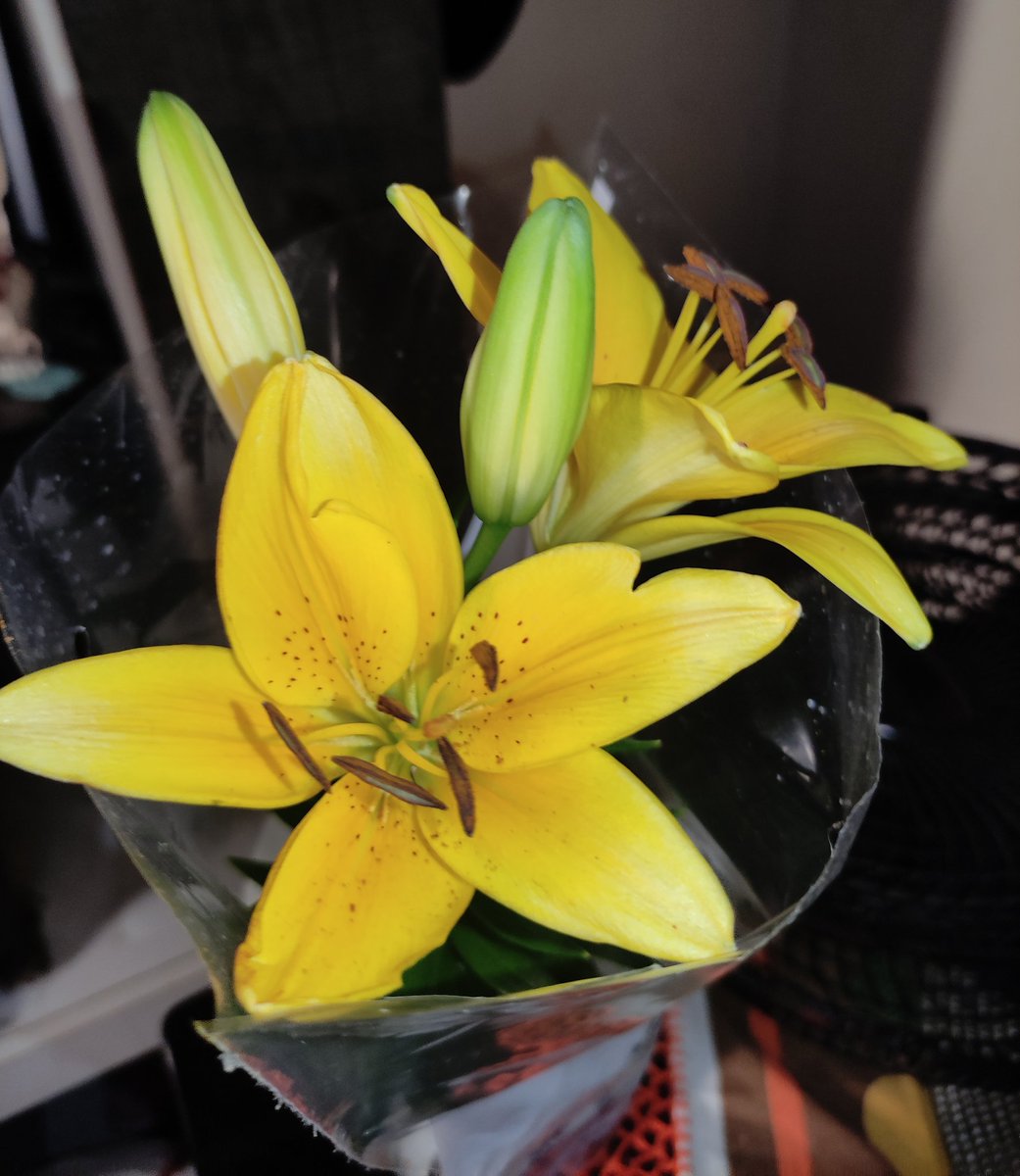 oxileoo's tweet photo. Ela não sabe, mas a filha dela também vai ganhar flores!!! https://t.co/mk8CfyjZst