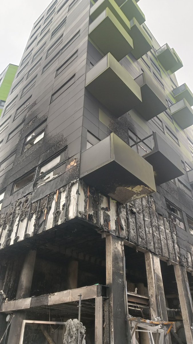 Stéphane Baly 🌻 🇪🇺 tweet media