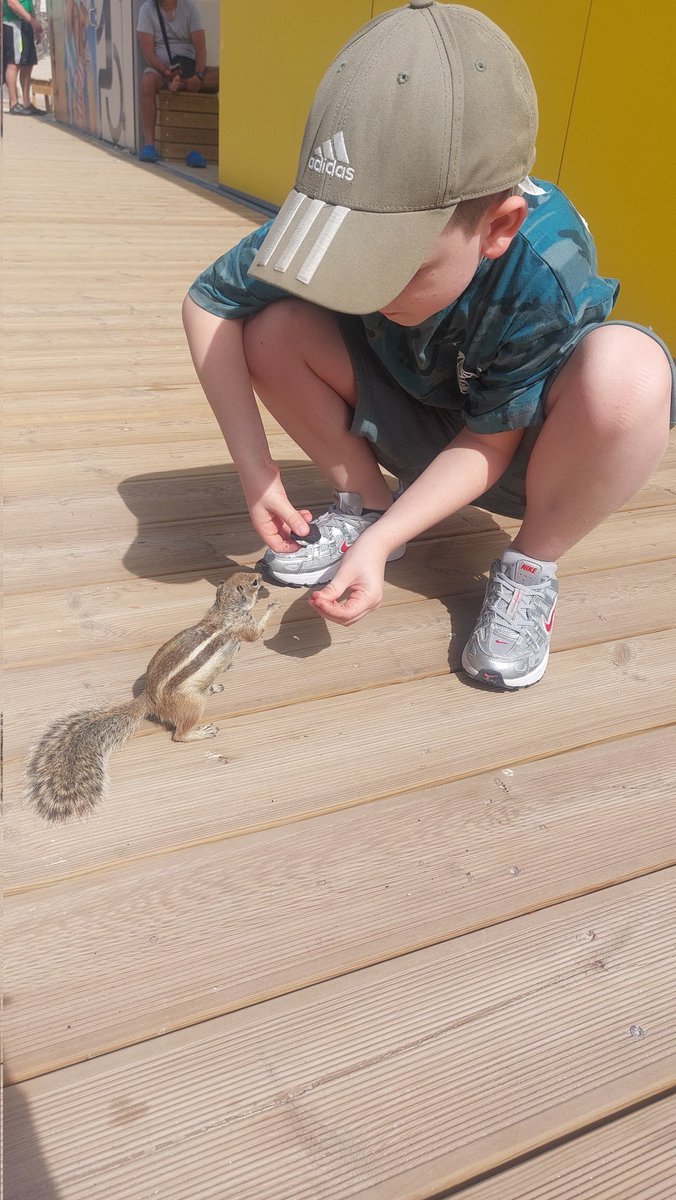 Michelle Lewins RN BSc (Hons) tweet media