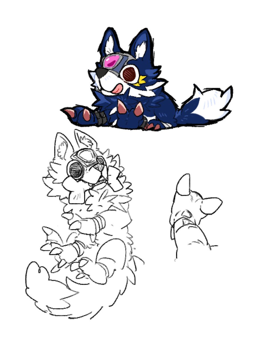 똥개의 반란 tweet media