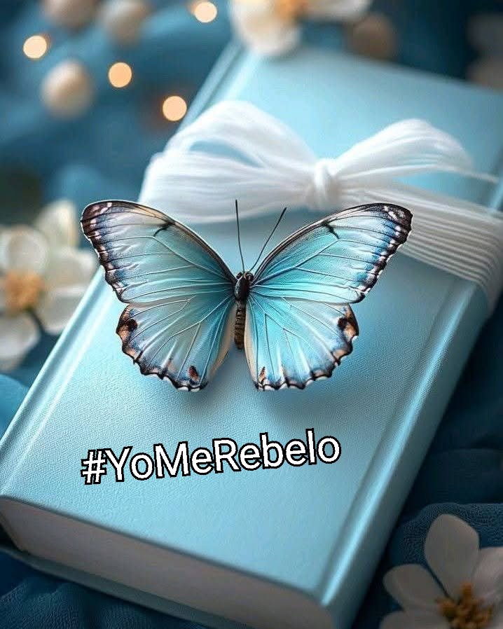 #YoMeRebelo28F 
#YoMeRebelo27F