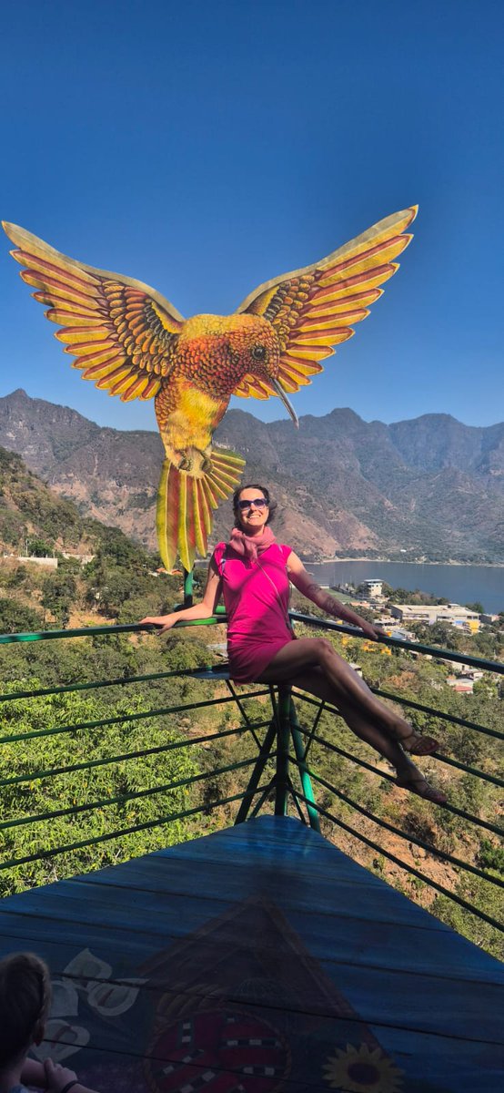 Lucie Hrdá tweet media