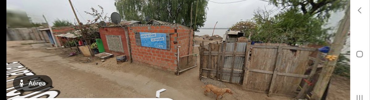 JuliRosati tweet media