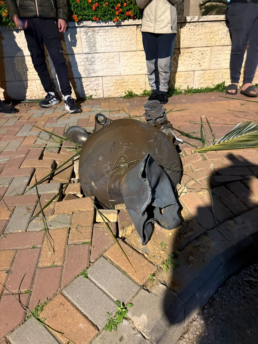 Michael Elgort tweet media