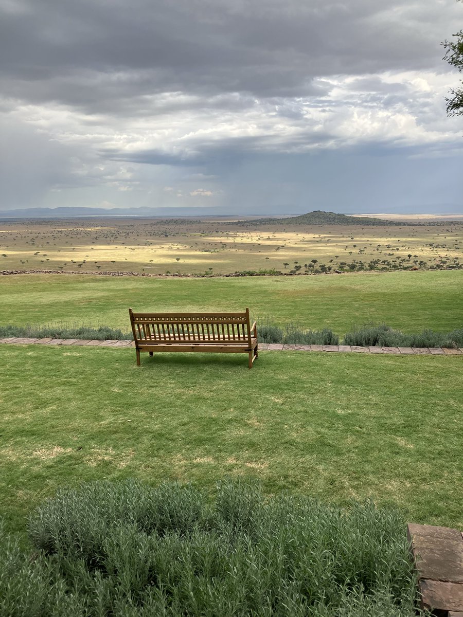 Joyce Frank tweet media