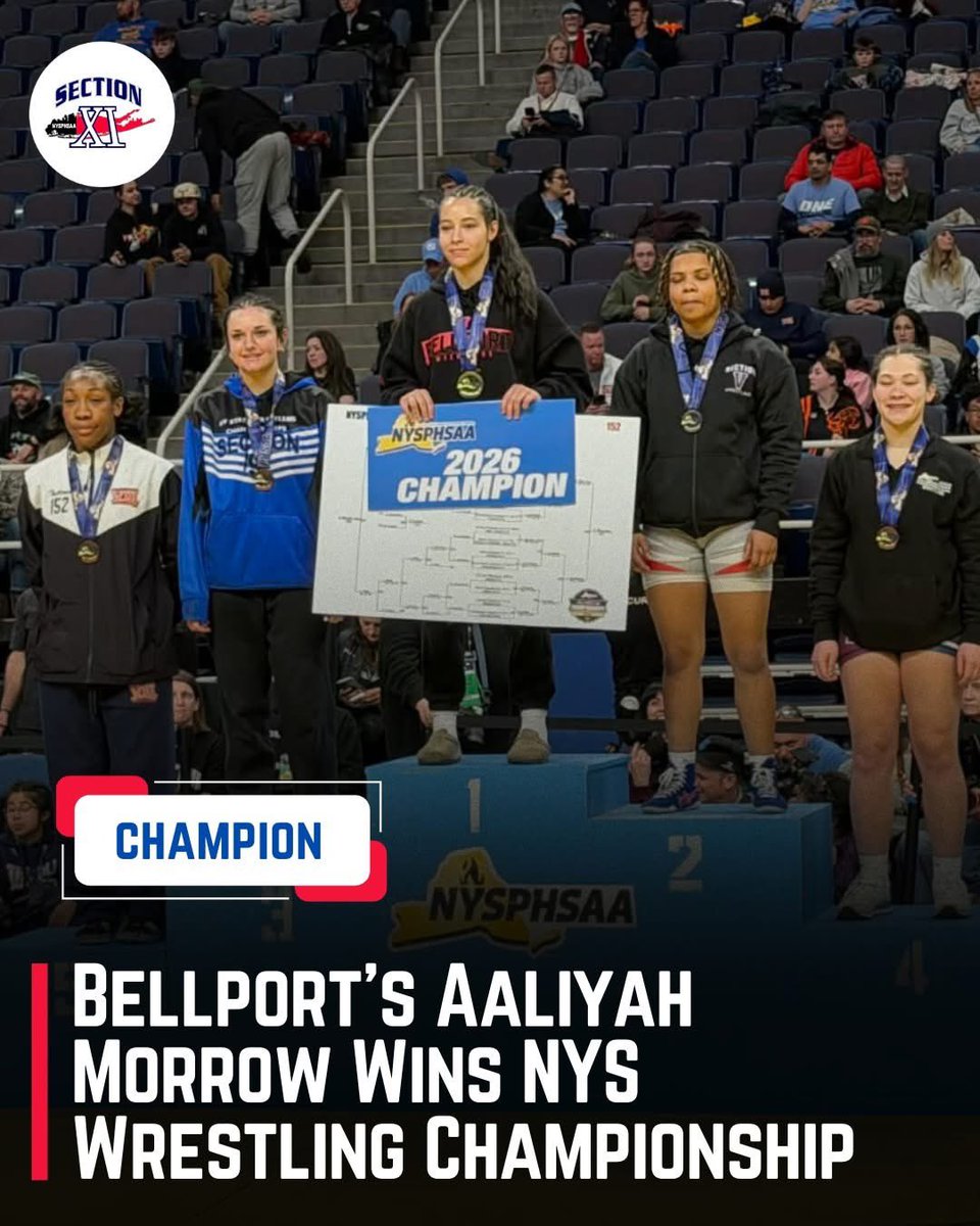 SectionXI tweet media