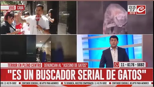 ElGordoDeMega tweet media