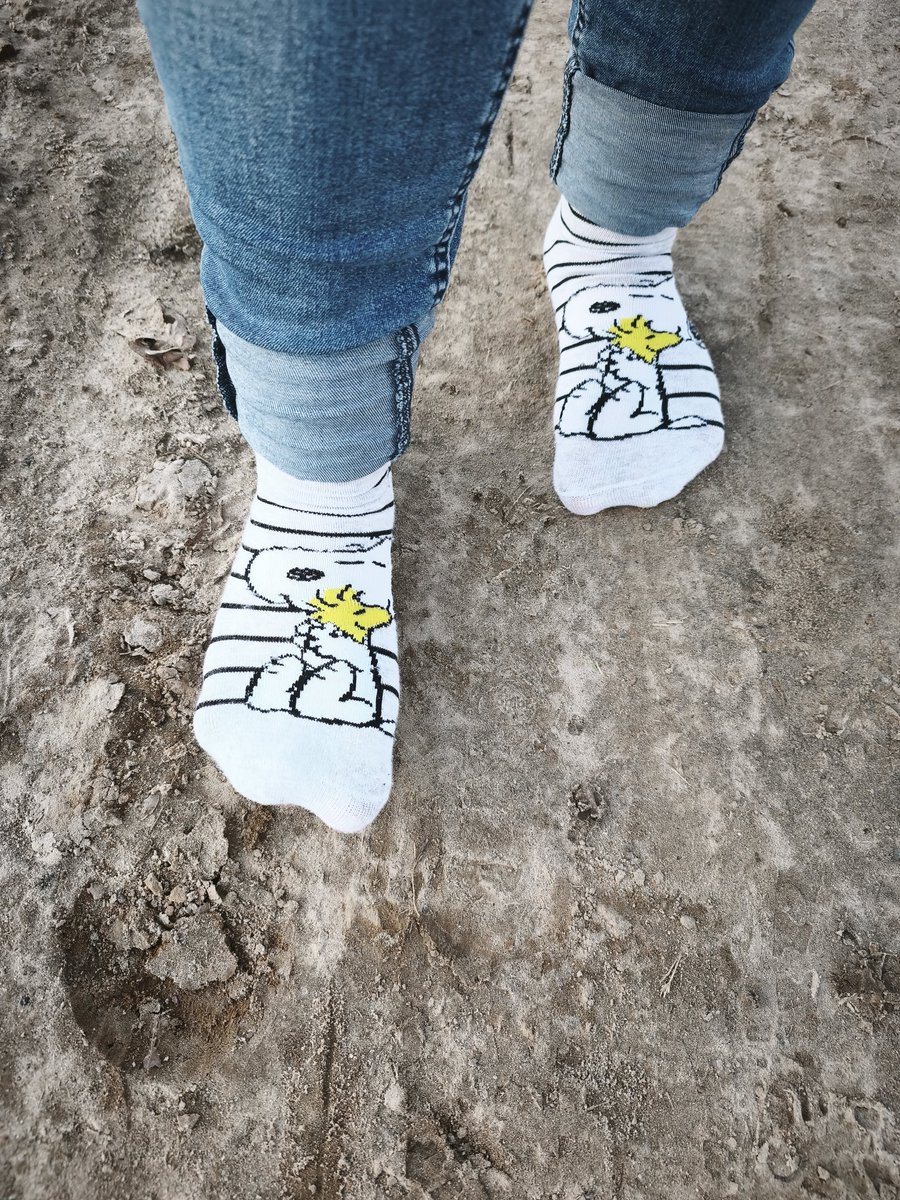 socks_sneakers's tweet photo. Spring is here. Finally, walking without sneakers again and get the socks dirty. 😍

#socks #socken #buntesocken #colorfulsocks #sockenfetisch #socksfetish #girlsocks #socksgirl #dirtysocks https://t.co/lSYxJpjY7r