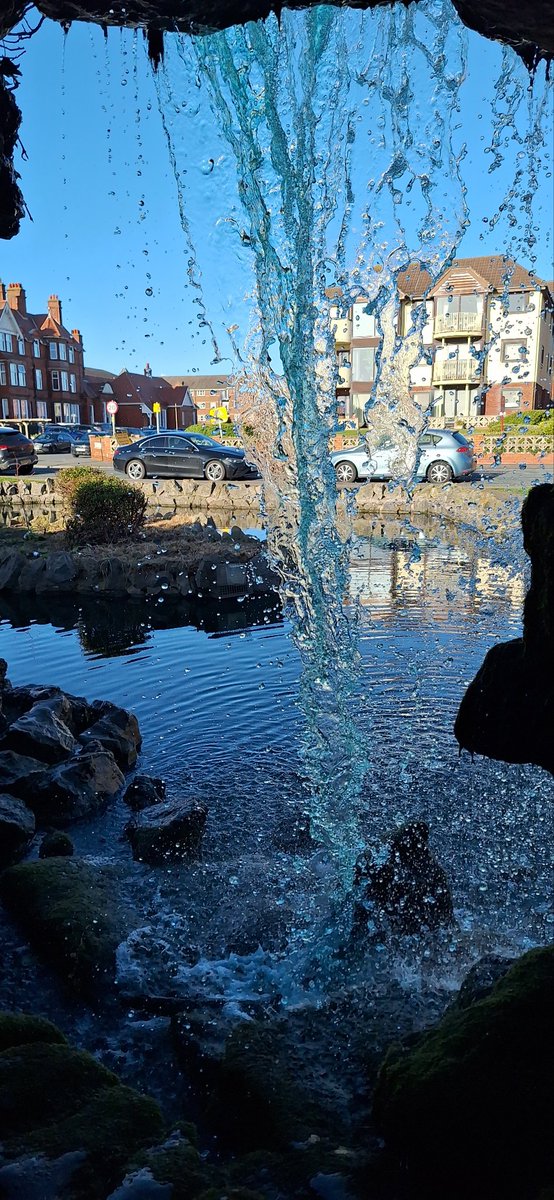 Angie (Littlevoice) & Angel Zara 🌈🐾 😻 💙 tweet media