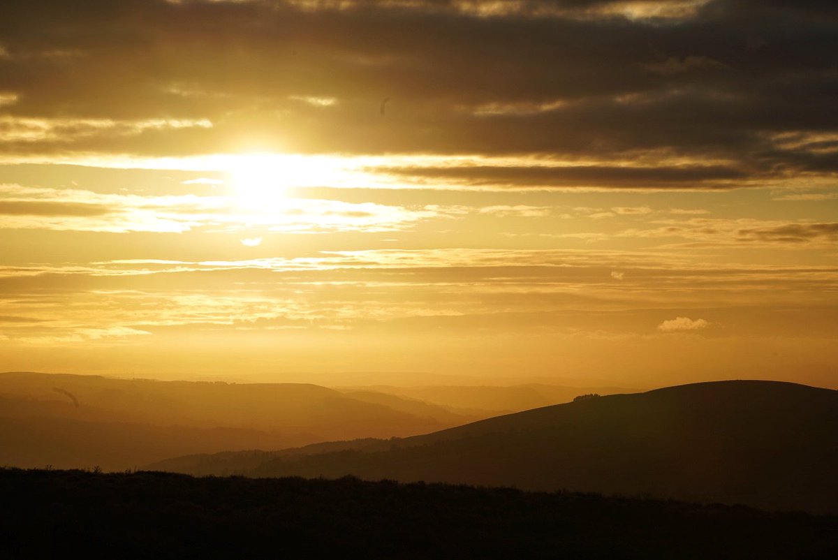 Matthew Halstead tweet media