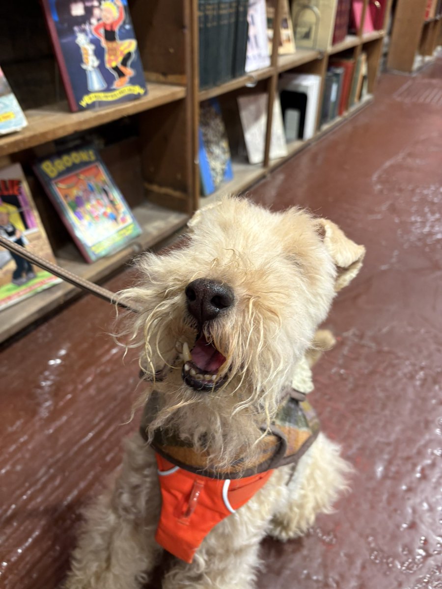 StanleyLakeland's tweet image. It’s my Mum &amp;amp; her pals with muddy paws today 😂 she’ll have to go in the baff 😂😂😂 #parkrun no trip to #Alnwick without a visit to Barter Books 📚 😃