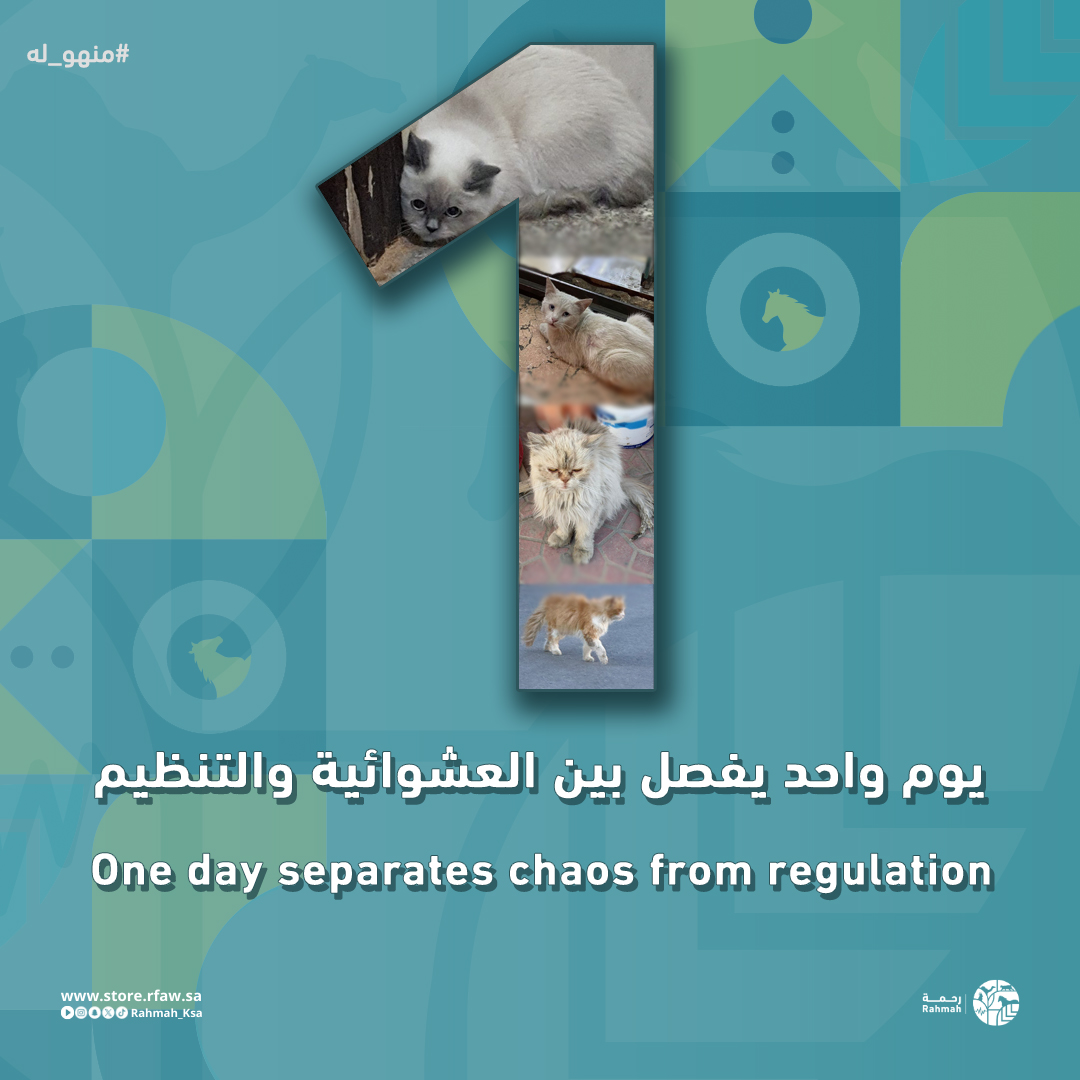 جمعية رحمة للرفق بالحيوان tweet media