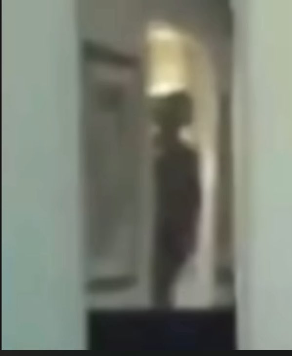 FlashTrew54321's tweet image. #EpsteinFiles #AlienFiles 

Footage shows an #alien in the #EpsteinFiles footage, while #Epstein is facing a webcam.
The figure in the background looks like a ‘tall grey’ 👽 

#UFOTwitter #UFOSightings #UFO #ufos #orb #orbs #aliens #reptilians #PanamaAlien