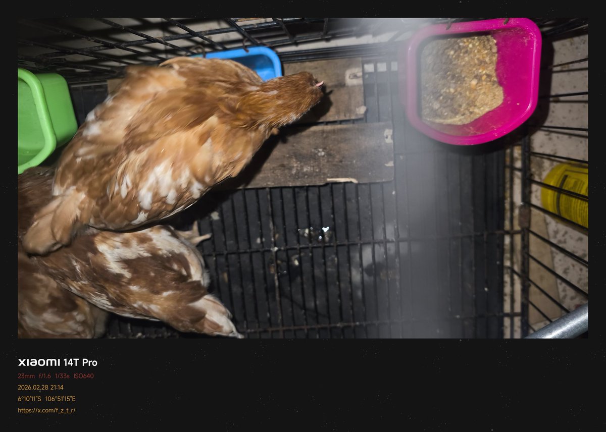 txt drama tijeh tweet media