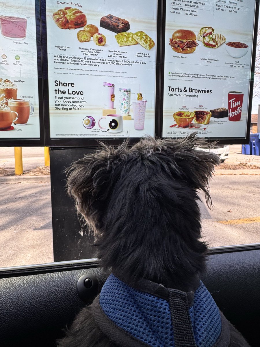 Gavin Michael Booth tweet media