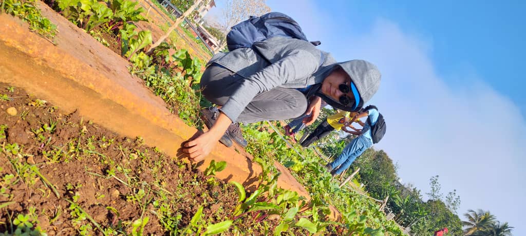 Yadelvys García Figueredo tweet media