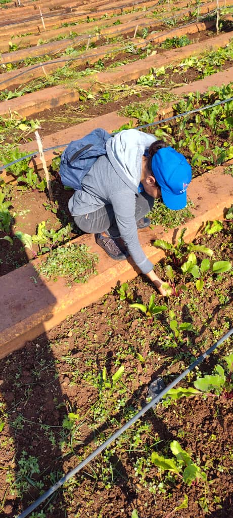 Yadelvys García Figueredo tweet media