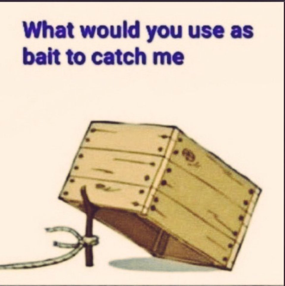 🩶 𝓔𝓼𝓶𝓮🩶 tweet media