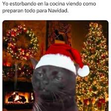 chef_memes tweet media