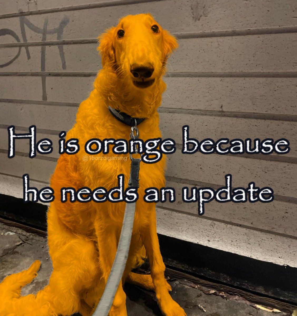 Keef Flint tweet media