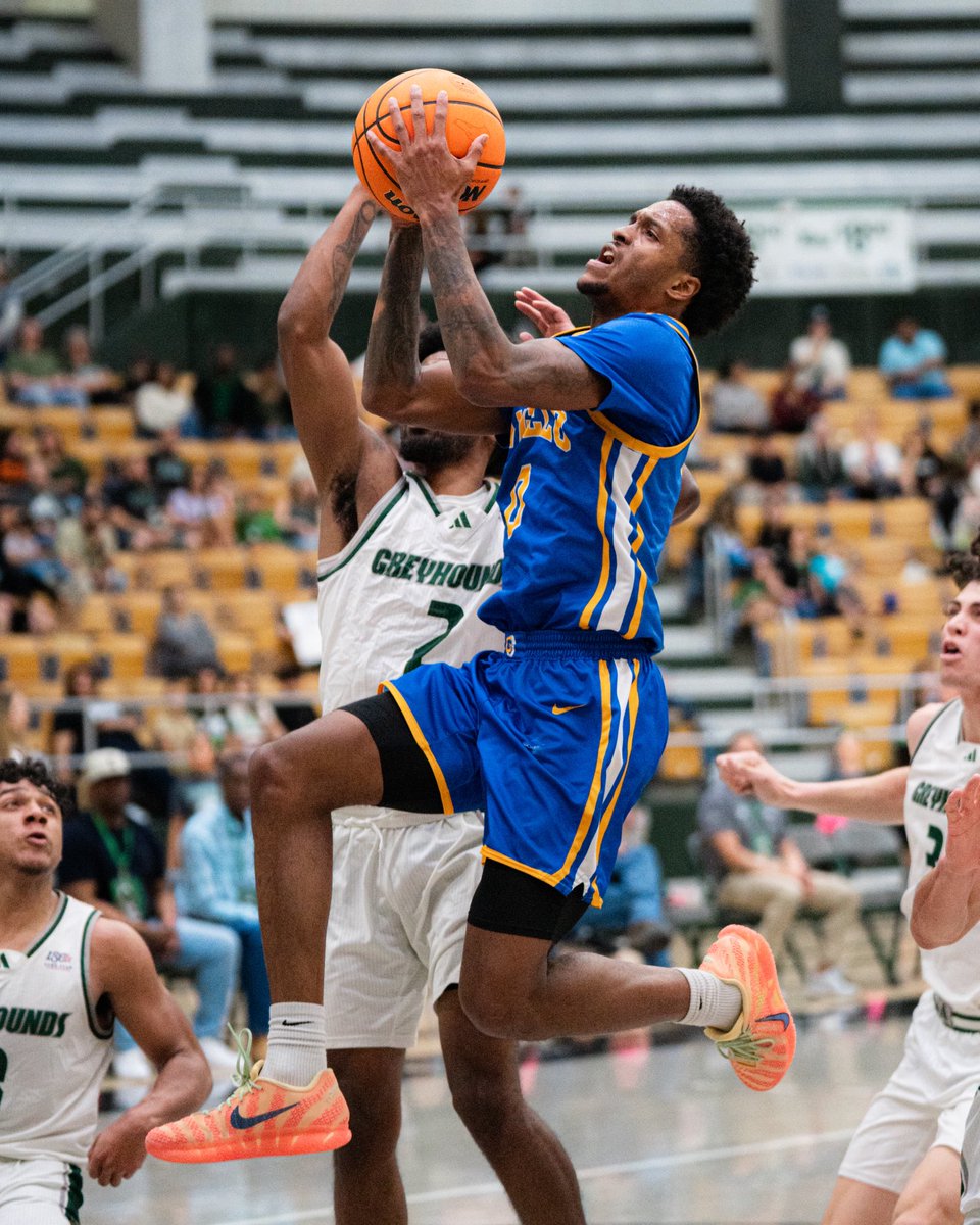 Angelo State Men’s Basketball tweet media