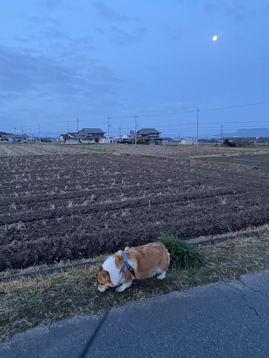 おはようございます。 おはワイ。