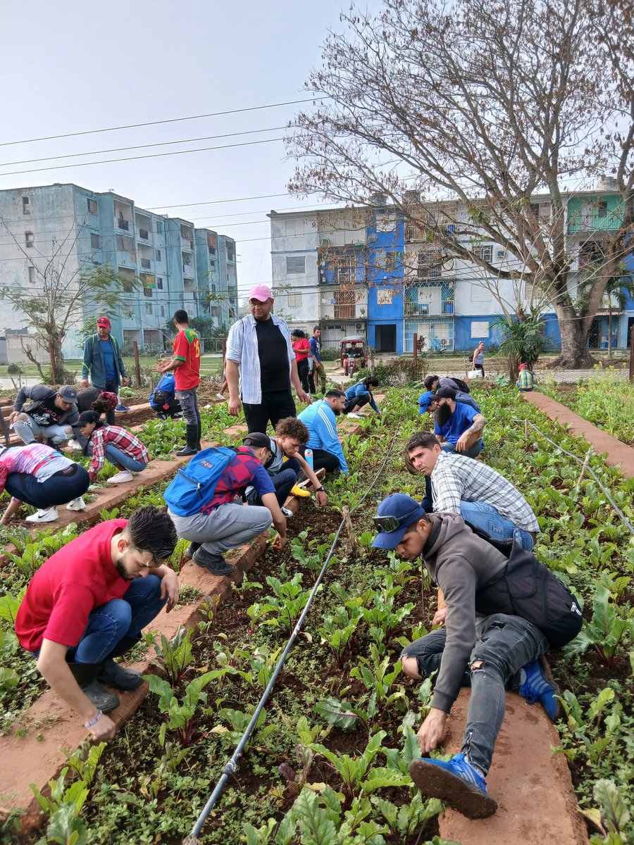 Yadelvys García Figueredo tweet media