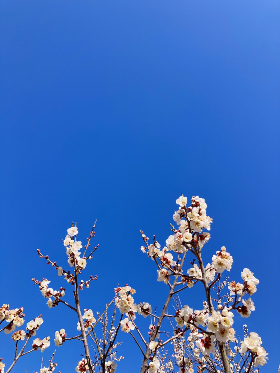 543life @konnoumi good morning. 