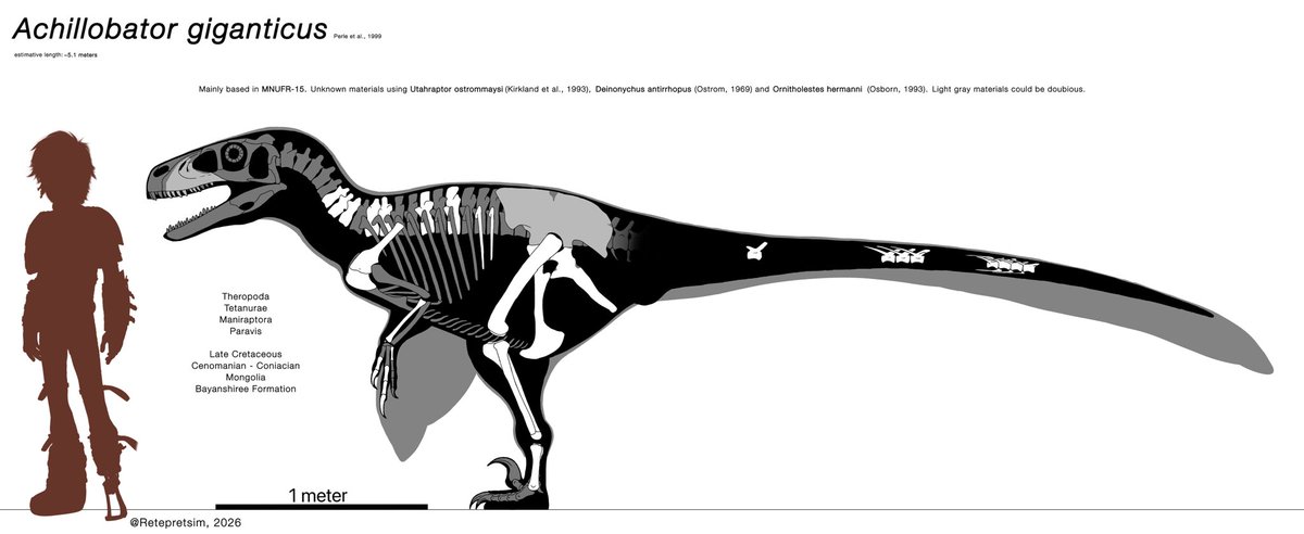 Achillobator is an big possible dromeosauridae, as some recents studies shows (some even posted here by the amazing <a href="/Paleojim/">Jim Kirkland</a>), showing that dinosaurs distributions is more complex than we previously thought.

#paleoart