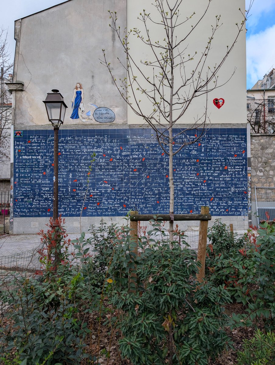 🍭Mario🐈 tweet media