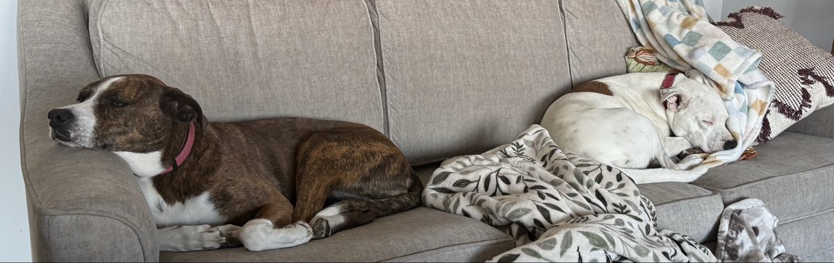 Lucas Yarnell tweet media