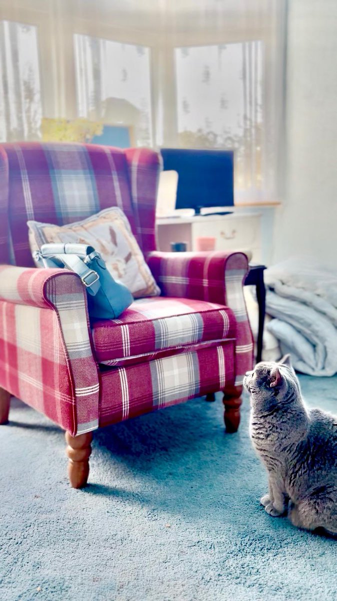 David Roca-Mas tweet media