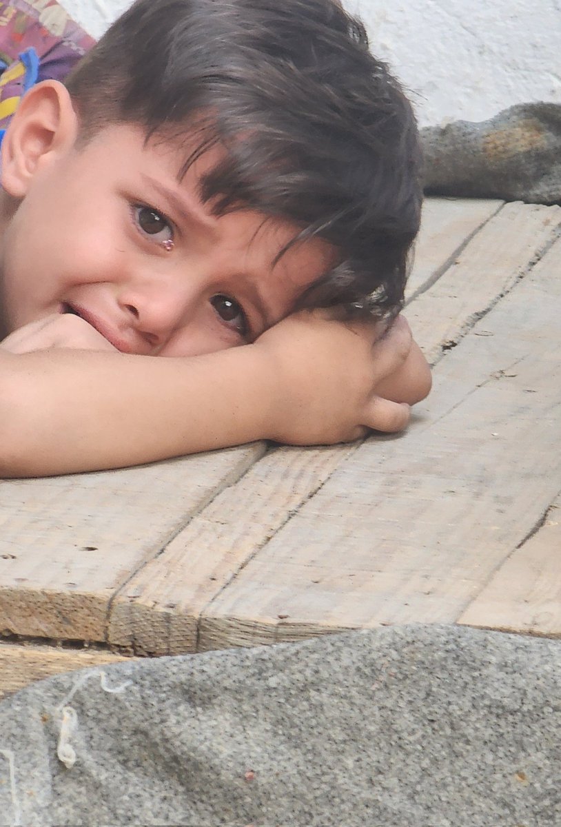 He is not Punch, but my son . I wish the world cared about my son as much or more than they care about this little monkey. Does anyone see us?

gofund.me/4b903cc2